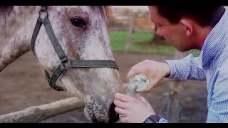 SOLEO  HEJ WINA LEJ  OFFICIAL VIDEO NOWOŚĆ [upl. by Ephrem]