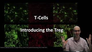 An introduction to the regulatory T cell Treg response [upl. by Cooperman]