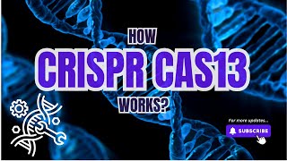 Understanding How CRISPR Cas13 Works Everything You Need to Know About Gene Editing amp RNA Targeting [upl. by Doraj]