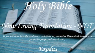 English Audio Bible  Exodus COMPLETE  New Living Translation NLT [upl. by Downs]