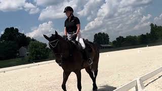 Claire and Storm  CDCTA Dressage training level test 1 [upl. by Tiphanie]