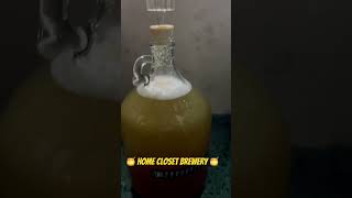 The Closet Brewery mead diy brewery hobby honey bee nature homemade craftabrew [upl. by Konstantin]