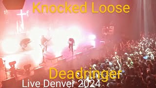 Knocked Loose  Deadringer Live 2024 [upl. by Mccreary391]