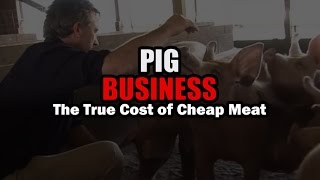 Pig Business  Spanish Subtitles [upl. by Nileek986]