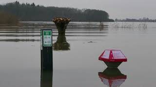 de Veluwe hoogwater en vorst [upl. by Annil]