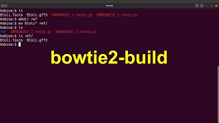 bowtie2 tutorial  index a reference genome with bowtie2build [upl. by Nodnahs]