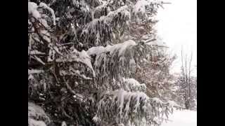 Chute de neige à FontRomeu [upl. by Aubyn568]