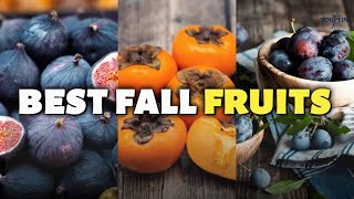 Nutritionists Top Fall Fruit Picks [upl. by Pru455]