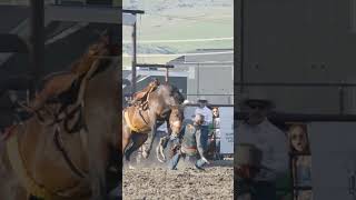 Ranch Bronc Riding cowboys rodeo horses [upl. by Elden]