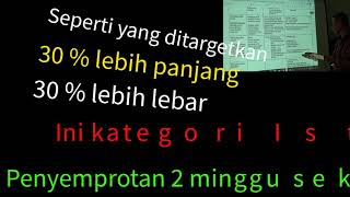 TUTORIAL TANAMAN PADI NTJ 100 LEPAS  TANPA PUPUK LAIN APAPUN [upl. by Sherie329]