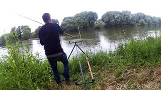 Barbeel vissen Barbel fishing Maas Limburg [upl. by Dusa]