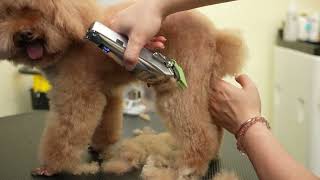 oneisall Metal Dog Clippers for Thick Hair [upl. by Ahsenor]