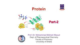 Proteins Part2 [upl. by Attegroeg]