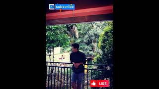 Baila Morena Cover Marko Keyboard GorryGaper🎤🎵🎶🎹😎 [upl. by Leahcimnoj581]