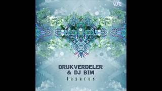 Drukverdeler amp DJ Bim Live  Psychedelic Circus [upl. by Faythe]