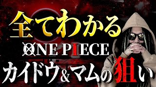 カイドウampマムが狙う“絶望的な力”とは【ワンピース ネタバレ】 [upl. by Faro399]