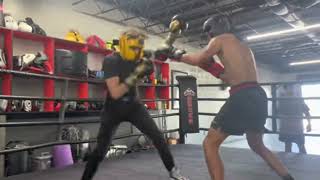 Peek a boo style sparring boxing [upl. by Alpheus]