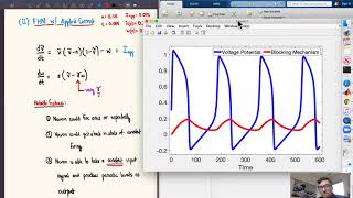 Part 4 Exploring solutions of the FitzHughNagumo equations and all the variations considered [upl. by Kcirrez]