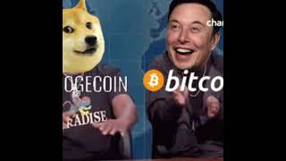 Dogecoin to the moon [upl. by Ewen]