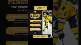 Pittsburg Penguins Prospects [upl. by Artined650]