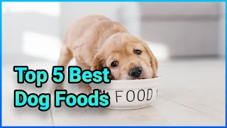 Top 5 Best Natural Dog Foods  Extreme Reviewer [upl. by Hnirt]