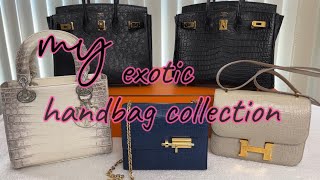 MY EXOTIC HANDBAG COLLECTION l Ostrich Alligator Crocodile l Dior amp Hermes [upl. by Byrom281]