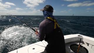 Bertram Yachts  Sailfish Migration [upl. by Abbe]