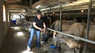 A Day in the Life of a Dairy Farmer [upl. by Htez]