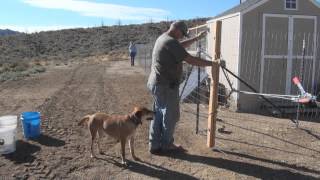 GardAnimal Welded Wire Fence [upl. by Llerrehc631]