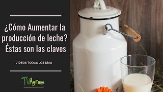 ¿Cómo AUMENTAR la producción de LECHE Éstas son las CLAVES TvAgro por Juan Gonzalo Angel [upl. by Abdu973]