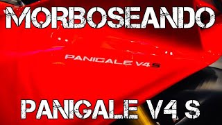 MORBOSEANDO  DUCATI PANIGALE V4 S FULLGASS [upl. by Kingsbury885]