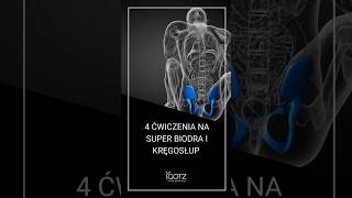 4 ćwiczenia na super biodra I kręgosłup 👈 shorts [upl. by Ahsaeyt]