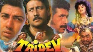 Tridev Full Movie In Hindi  Sunny Deol  Madhuri Dixit  Naseeruddin Shah  Jackie  Facts amp Review [upl. by Albrecht311]