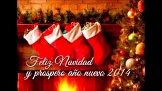 Grupo Brindys Navidad sin ti [upl. by Eceinal]