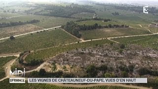 VUE DEN HAUT  Les vignes de ChâteauneufduPape [upl. by Gauntlett]