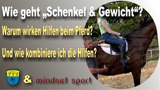 Reiten lernen  So wirken Schenkel und Gewichtshilfen [upl. by Avah354]