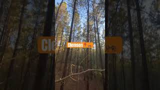 Deer Hunting Clemson South Carolina clemsonuniversity deerhunting clemsonbaseball [upl. by Jeu]