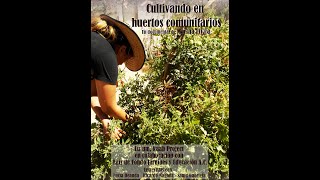 Cultivando en huertos comunitarios [upl. by Phippen]