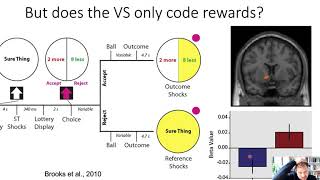 Affective Neuroscience part 2 [upl. by Cagle1]