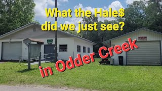 Russ amp Mary Mayor WhatTheHales is up in Oddercreek  otter creek trending youtube new [upl. by Laen]