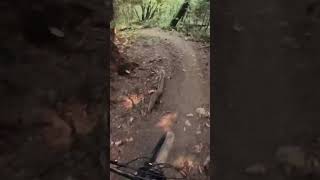 New loam trail Burnaby Mountain [upl. by Tenenbaum959]