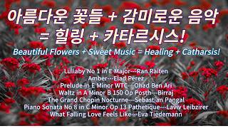 아름다운 꽃들  감미로운 음악  힐링  카타르시스 Beautiful Flowers  Sweet Music  Healing  Catharsis [upl. by Adav]