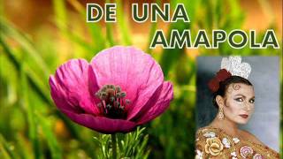 La historia de una amapola Rocío Jurado [upl. by Enos]