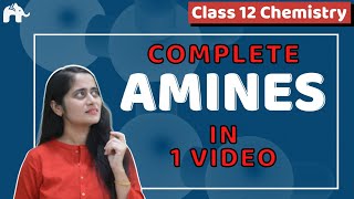 Amines Class 12 Chemistry One Shot NCERT Chapter 13  CBSE NEET JEE [upl. by Ailido]