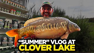 Summer Carp Fishing Vlog At Coking Farm  NEW STOCKISTS [upl. by Allimak]