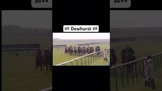 Darley Dewhurst memory group one race Shorts FYP GoViral HorseRacing [upl. by Nivrem340]