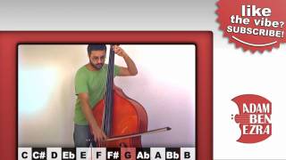 The YouTube Upright Bass  Interactive Video [upl. by Hermine]