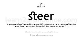 Pronunciation of Steer  Definition of Steer [upl. by Yetti]