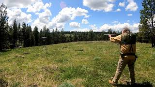 22lr Hyper Velocity ammo Featuring Aguila Super Maximum and CCI Meateater [upl. by Lek84]