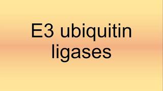 E3 Ubiquitin Ligases Pronunciation  How to Say  How to Pronounce [upl. by Ameekahs]